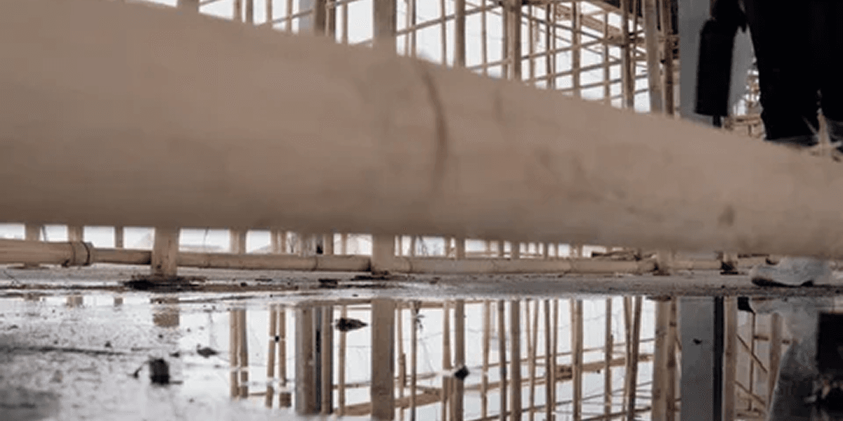 St. Petersburg Service Area